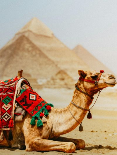 Cairo